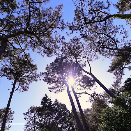 度假居 Dune & Ocean 拉本讷