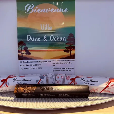 Dune & Ocean *