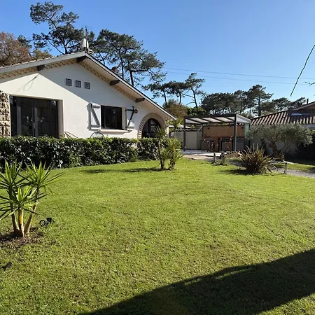 Dune & Ocean * 拉本讷