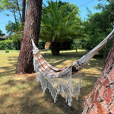 度假居 Dune & Ocean *