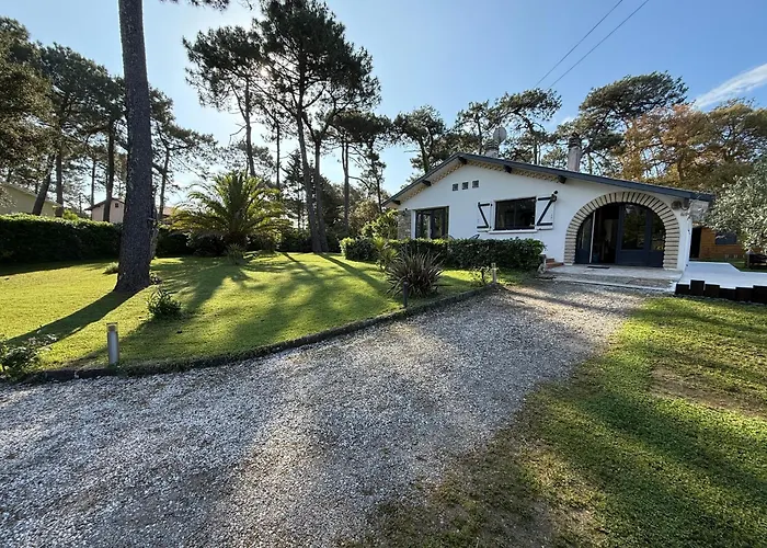 Dune & Ocean * ラバンヌ