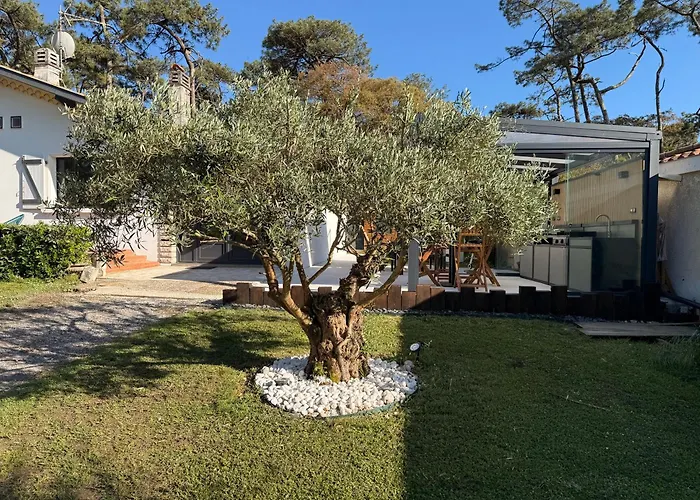 Dune & Ocean 別荘 ラバンヌ