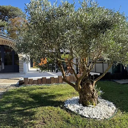 Dune & Ocean Holiday home Labenne