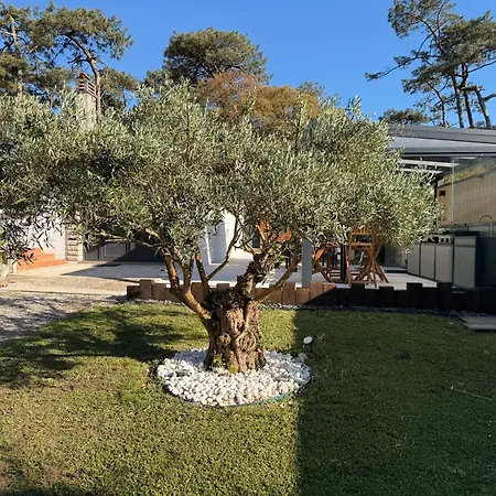 Dune & Ocean Holiday home Labenne