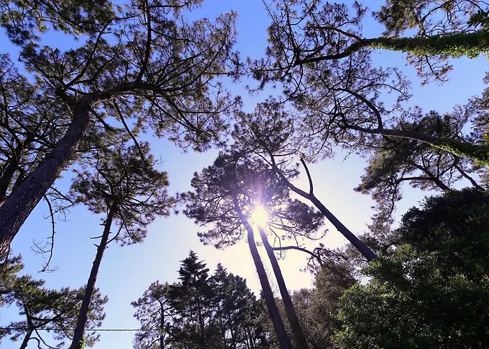 Feriehus Dune & Ocean Labenne