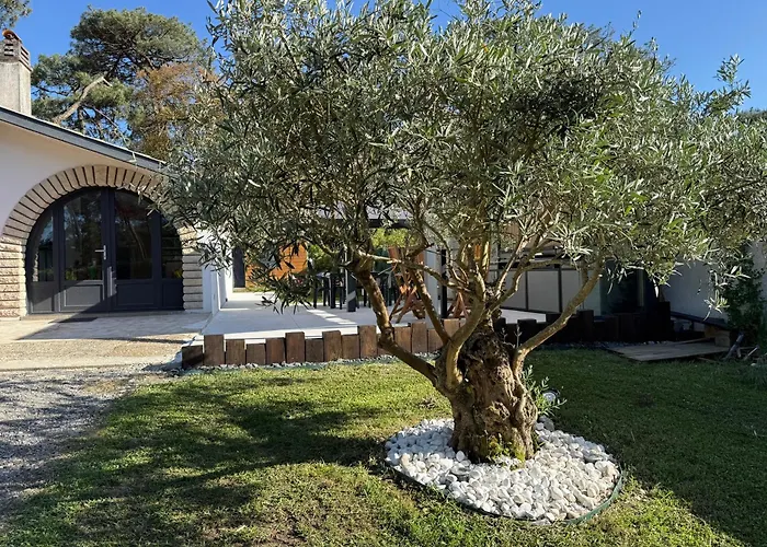 Dune & Ocean Feriehus Labenne