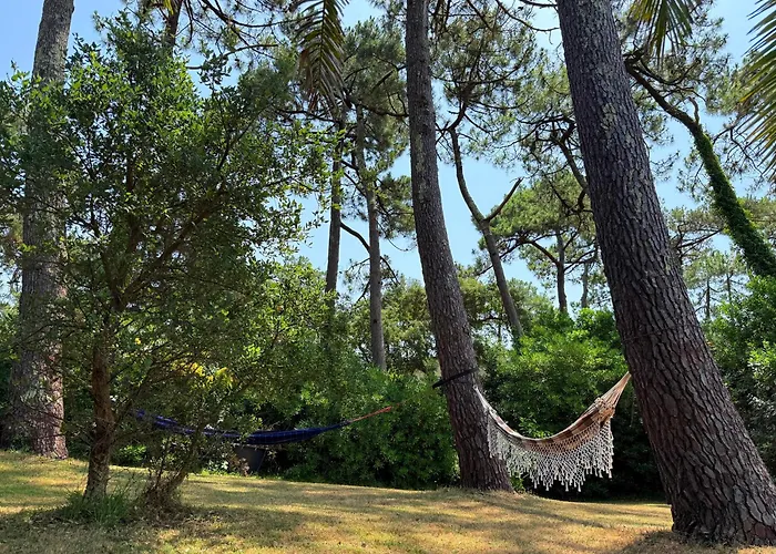 Dune & Ocean Feriehus *